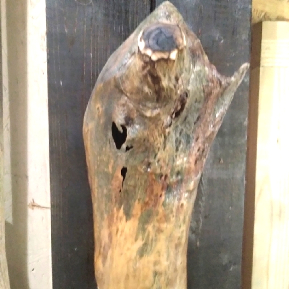 ⬇️⬇️Large OOAK Driftwood art sculpture piece was 30.00 - Picture 13 of 15